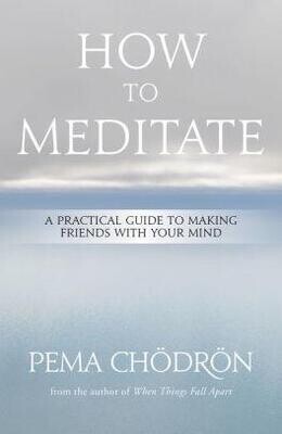 HOW TO MEDITATE: A PRACTICAL GUIDE TO MAKING FRIENDS WITH YOUR MIND