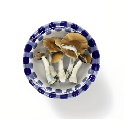 Mushrooms
