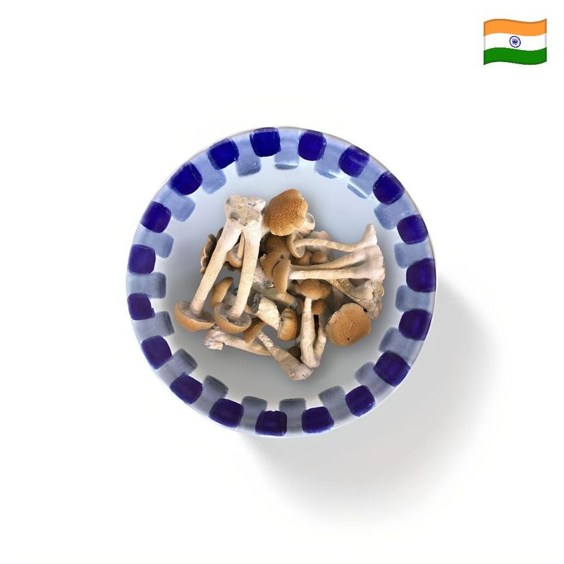 Orissa India Premium