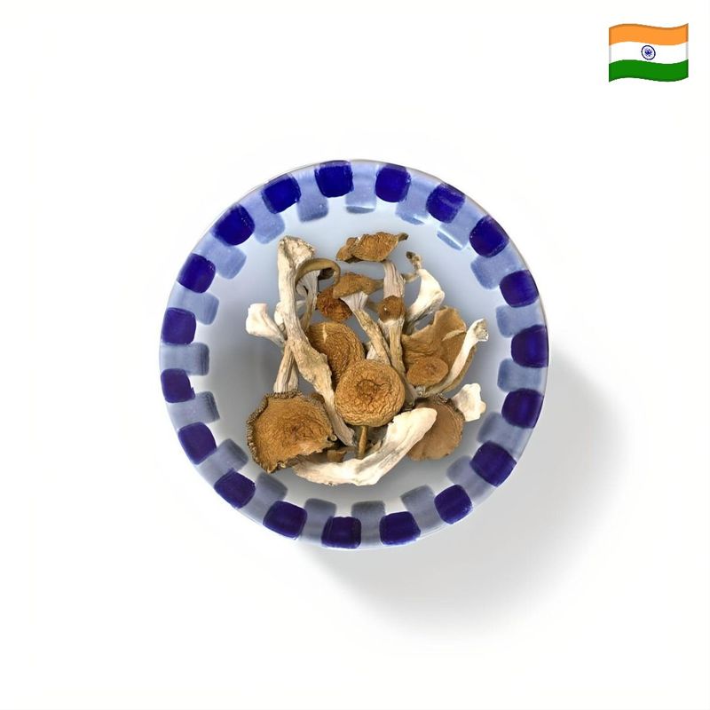 Orissa India