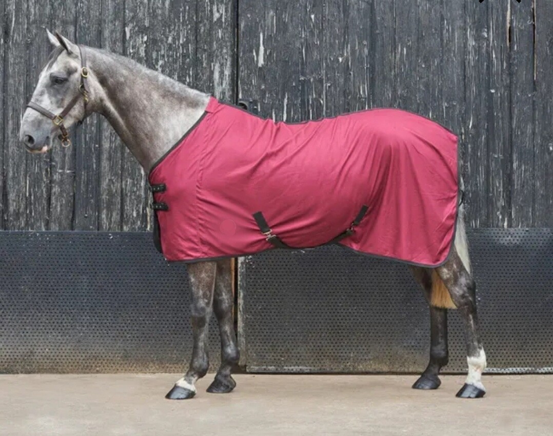Cooler en polar 75&quot; *hiver*