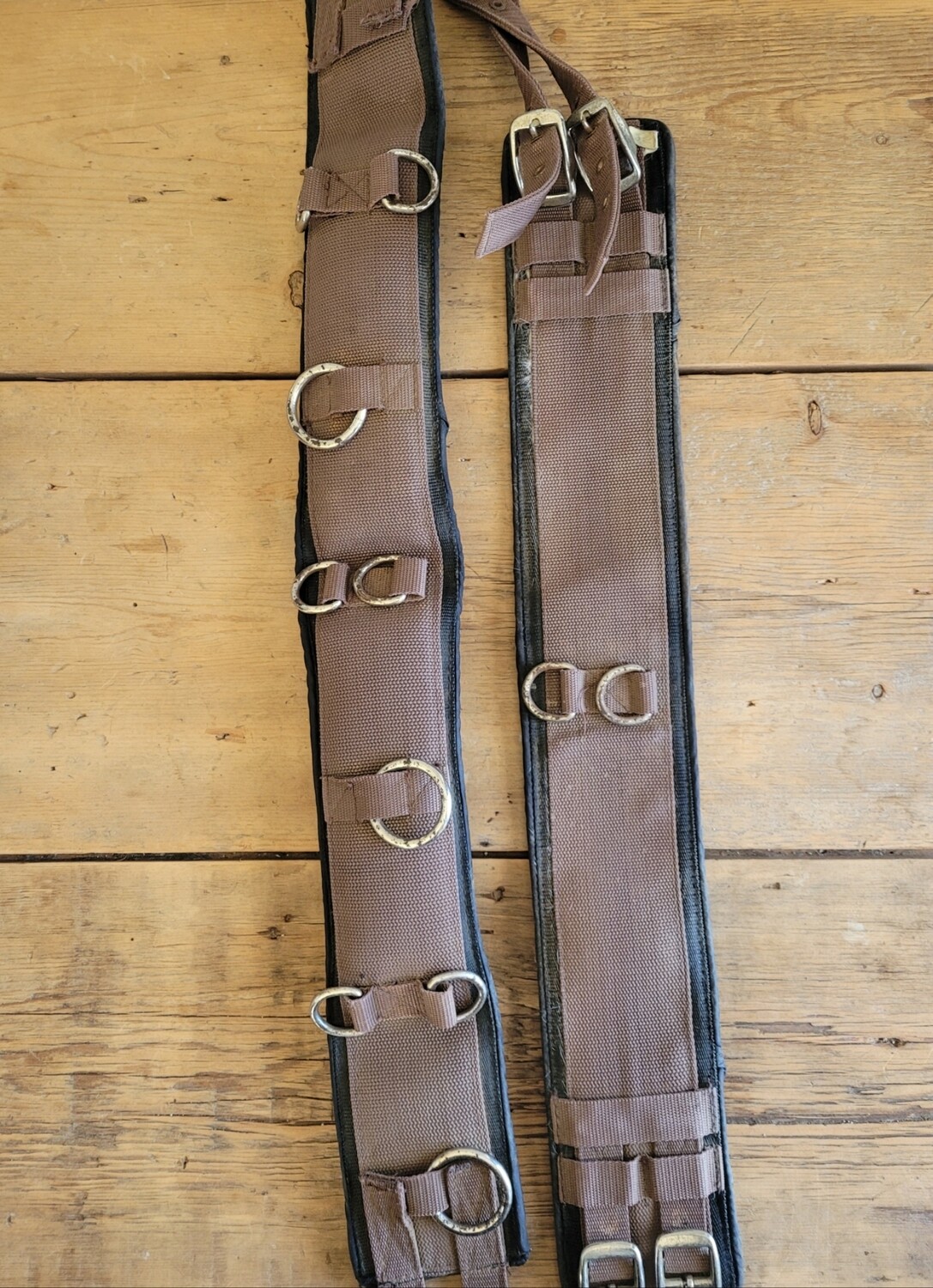 Surfaix cheval