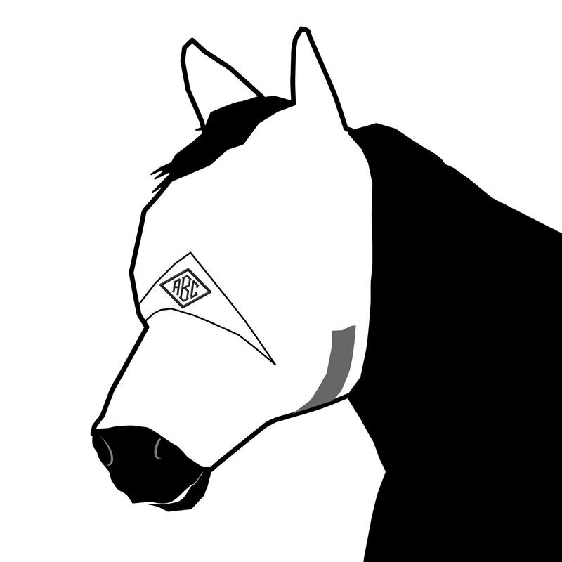 BLOG - Choisir le meilleur masque anti-mouches pour votre cheval‎