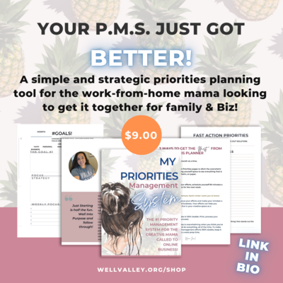 My Priorities Management System: For Creative Mama's Called To Online Biz!
