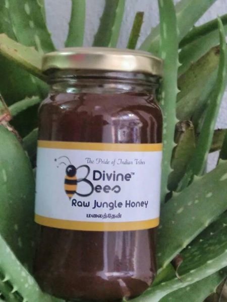 Raw Jungle Honey