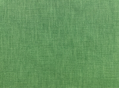 146 PALM