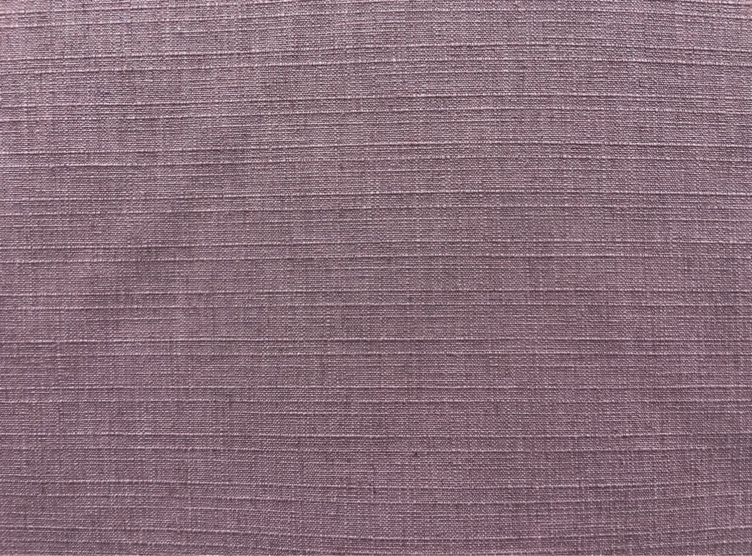 INDY PLUM