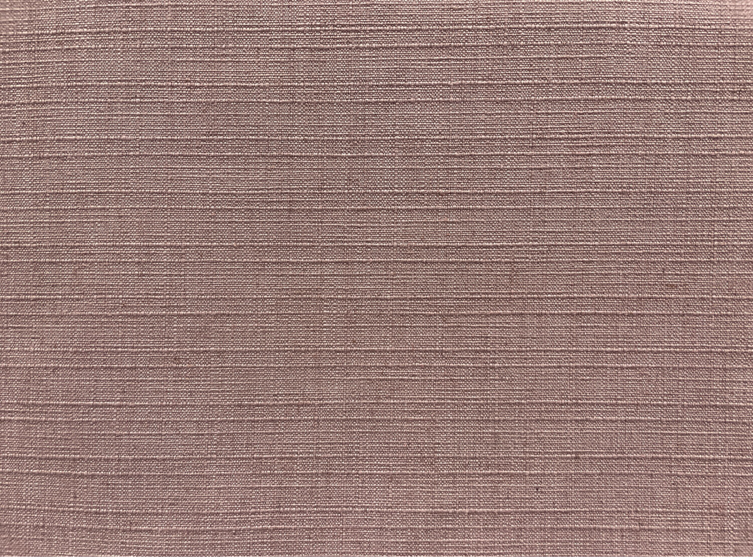 INDY LAVENDER