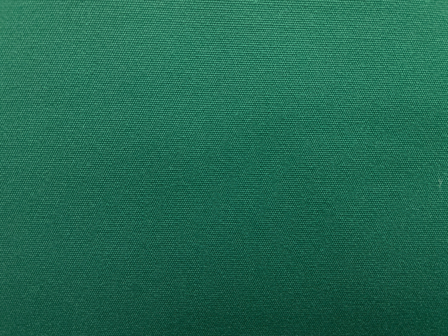 SOL FOREST GREEN