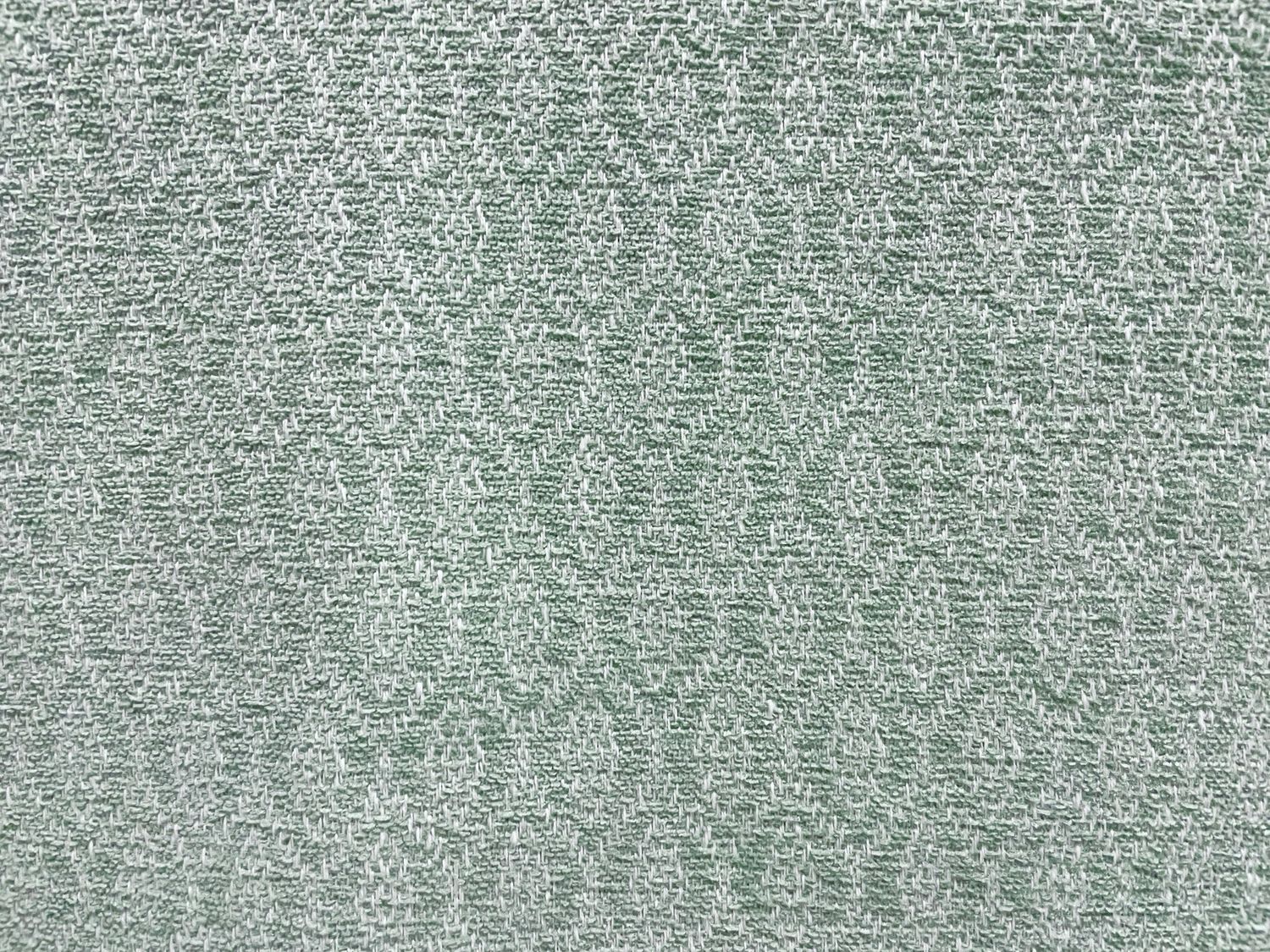 HAS CELADON