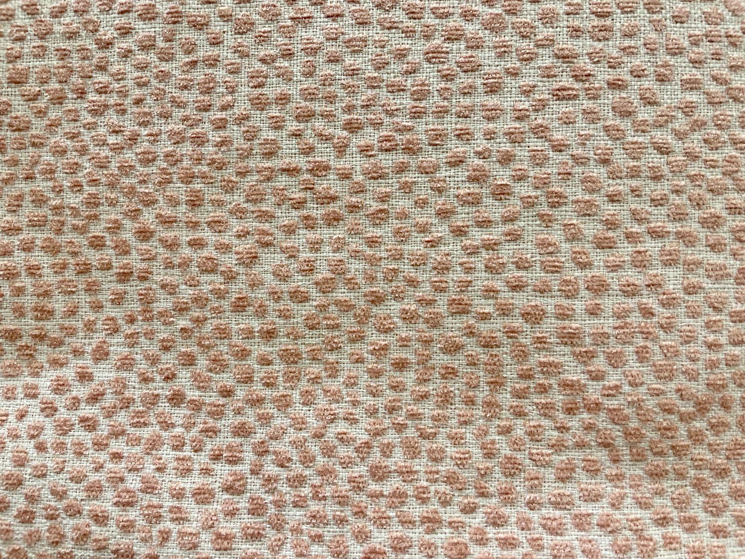 NEW DOT BELLA
