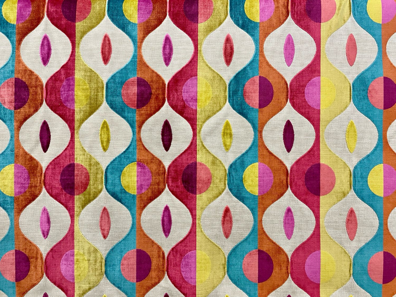 SCOOP CARNIVAL SCOOP CARNIVAL