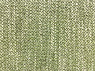 CAT CELERY CAT CELERY