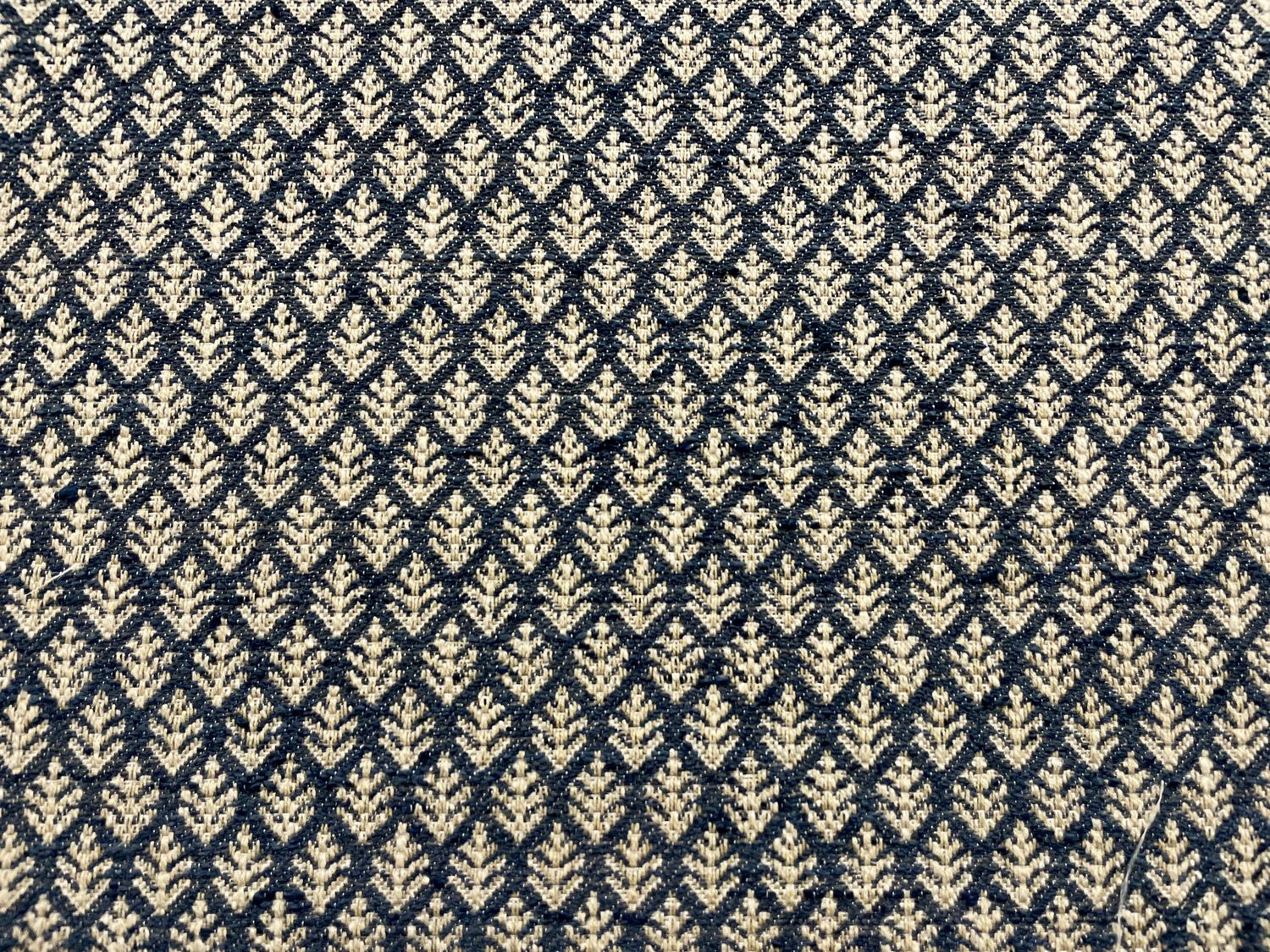 FERN INDIGO