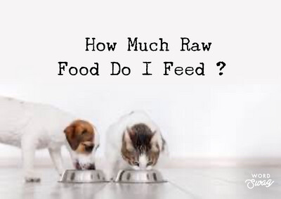 How Much To Feed ??