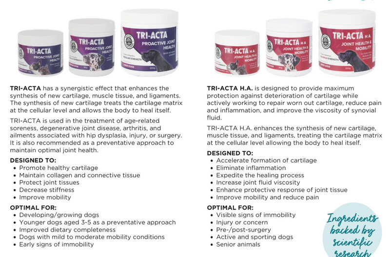 Tri-Acta Bone & Joint