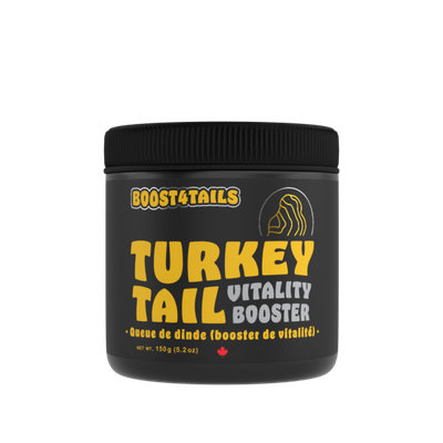 TURKEY TAIL TURKEY TAIL