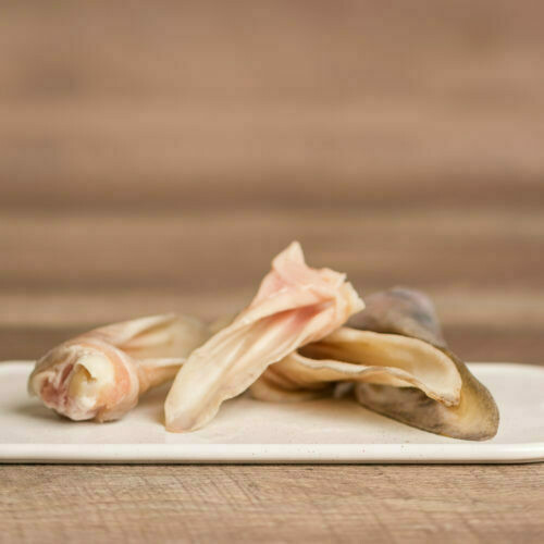 LAMB EAR