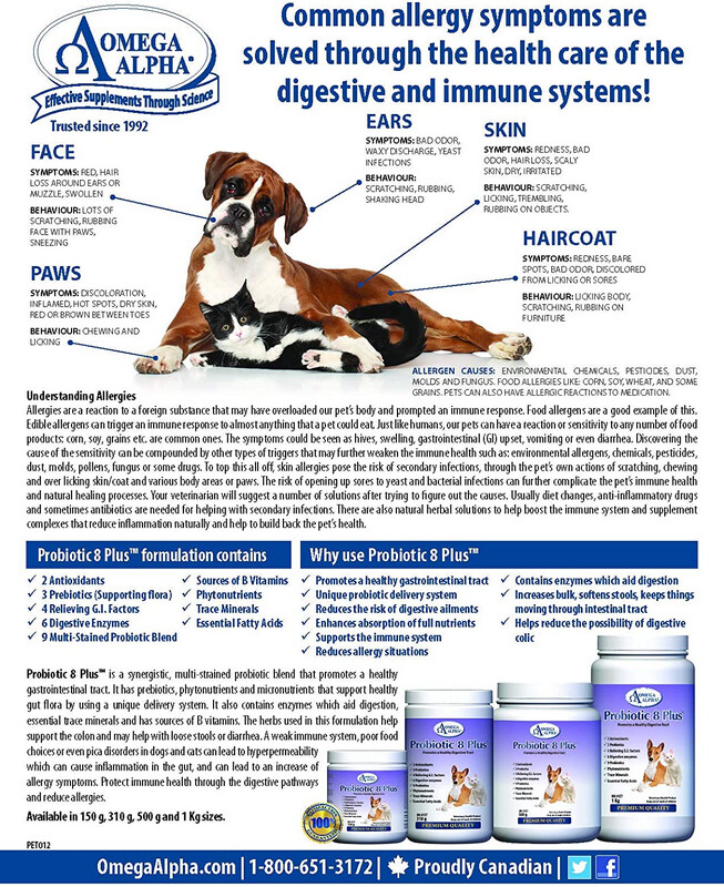 PROBIOTIC 8 PLUS