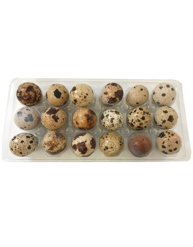 QUAIL EGGS - 18pack