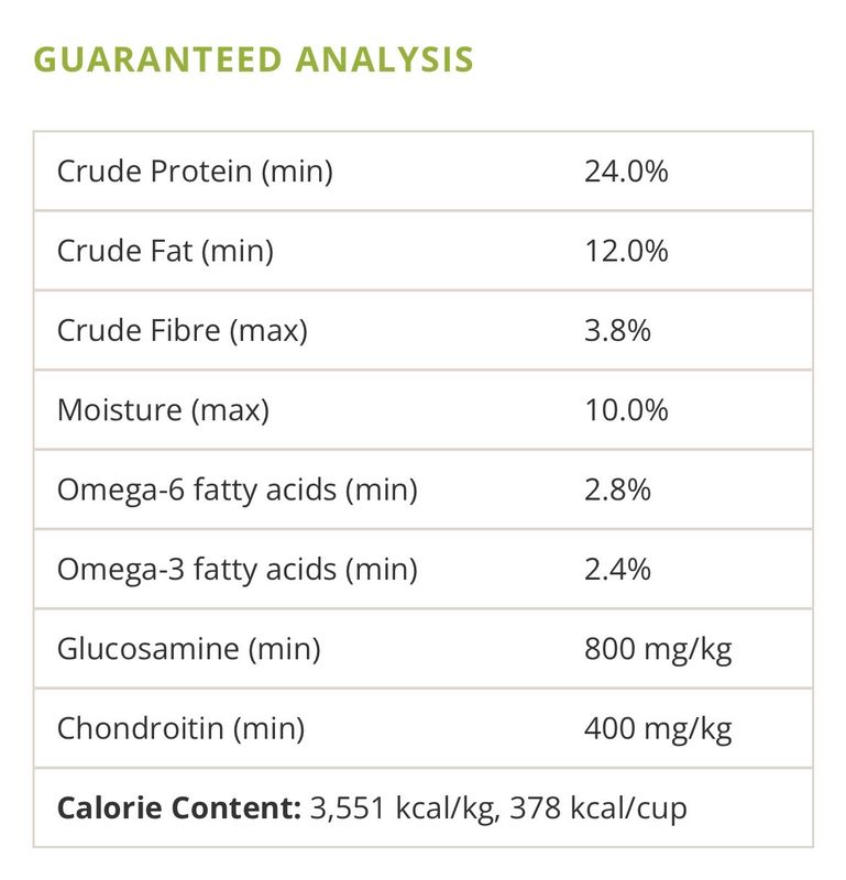 Canadian Naturals Lamb and Rice Large Breed