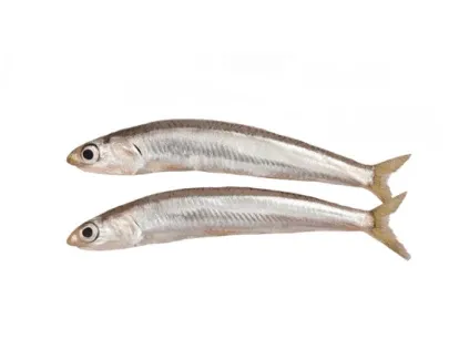 SMELT - 2lb bag