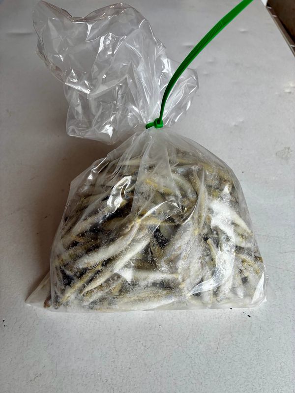 SMELT - 2lb bag