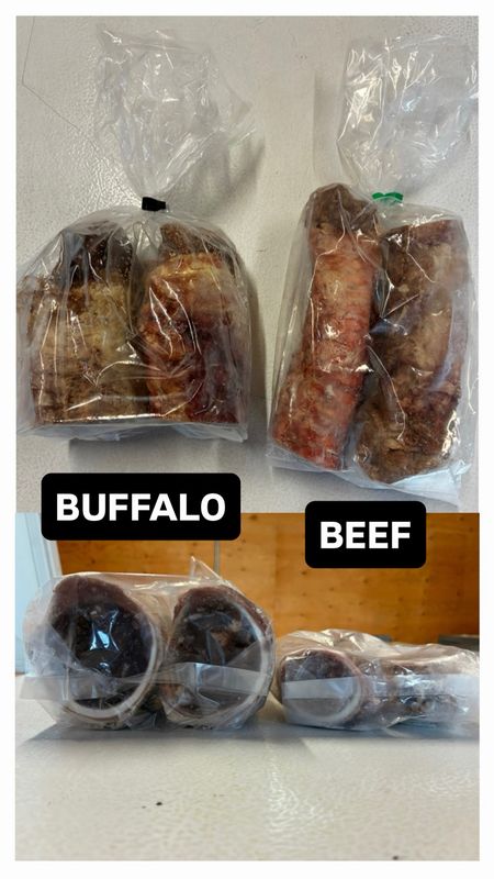 STUFFED TRACHEA