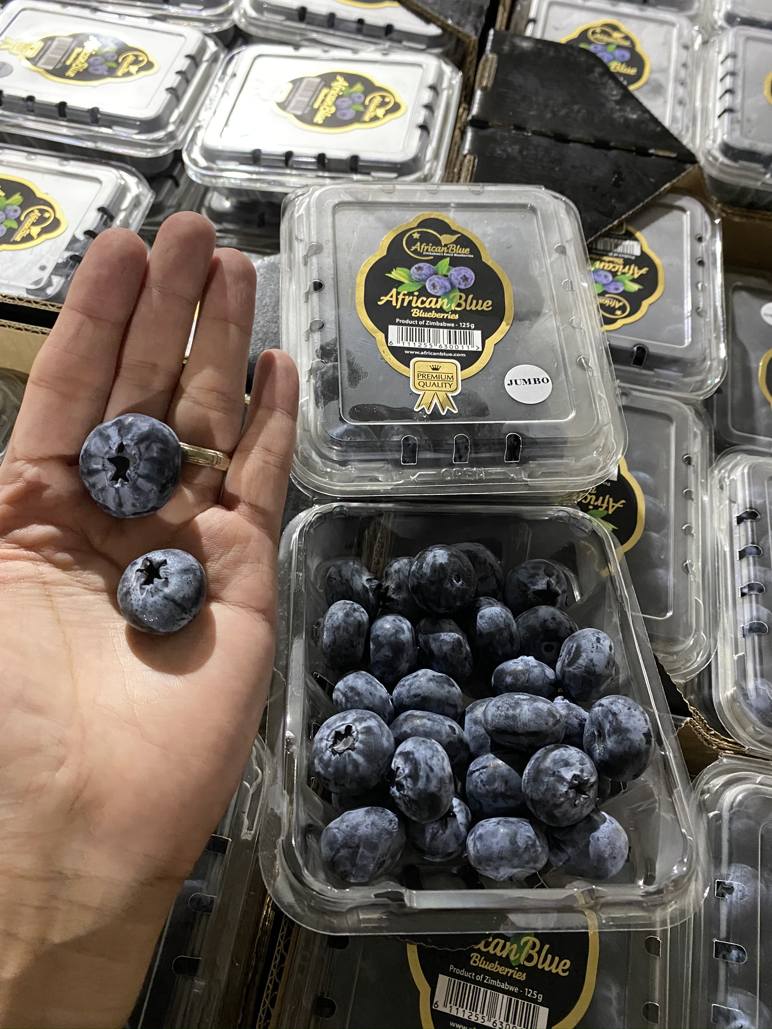 Blueberries Jumbo