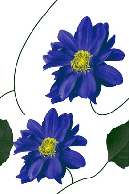 AKIJ CERAMICS 647-BL