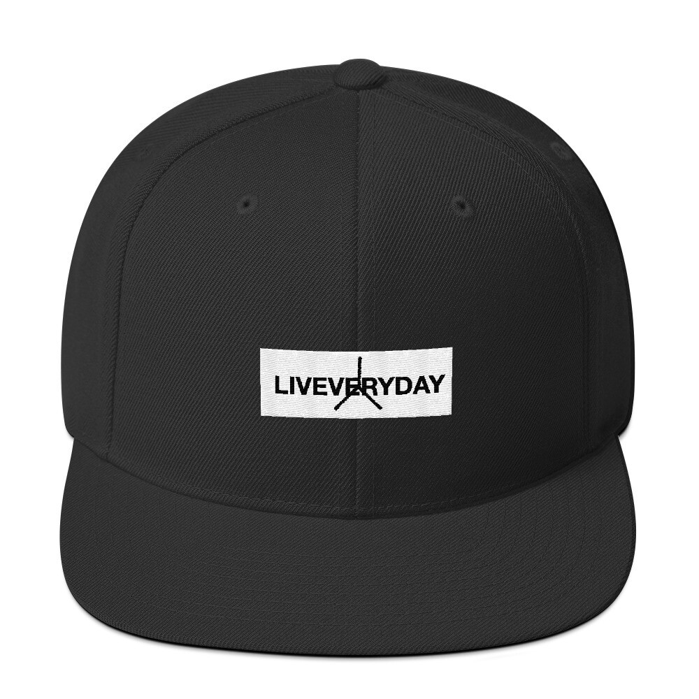 Liveveryday®️ Snapback Hat, Color: Black