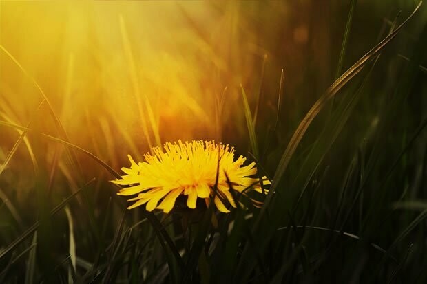 Mindfulness Meditation
