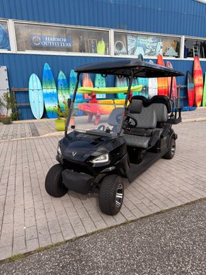 2022 Vivid 6 Seater Low Speed Electric Vehicle