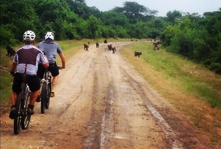 Deposit for Uganda - Adventurous mountain bike safari trip 10 days