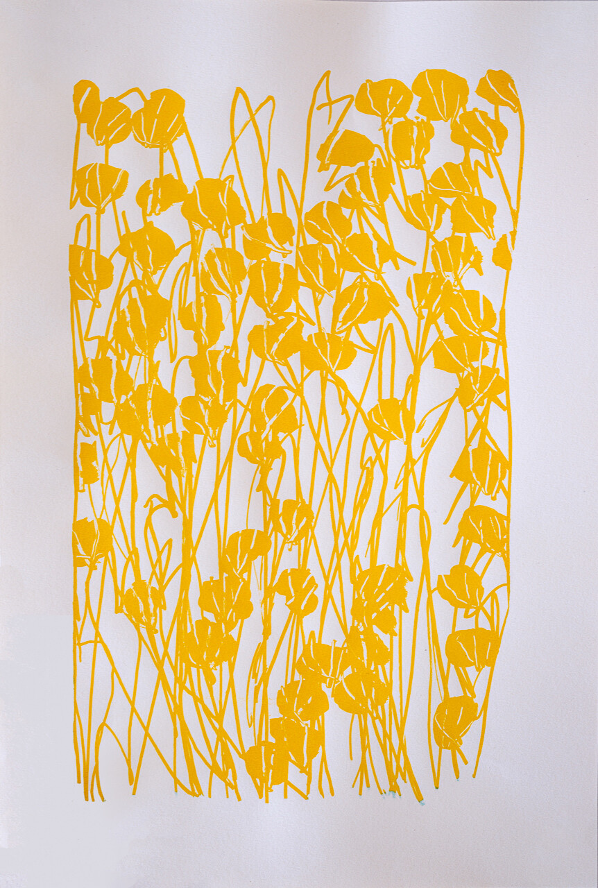 Fleurs jaunes, Coline BRUGES-RENARD Fleurs jaunes, Coline BRUGES-RENARD