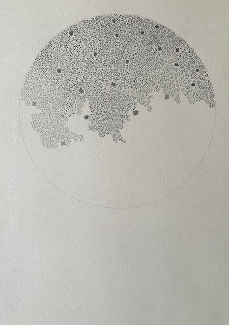 Collection Lune fleurie #1, Laure JULIEN