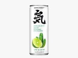 GKF Sparkling Water-Lime & Cactus (Can) 330ml X 6