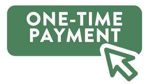 payment in 1 time