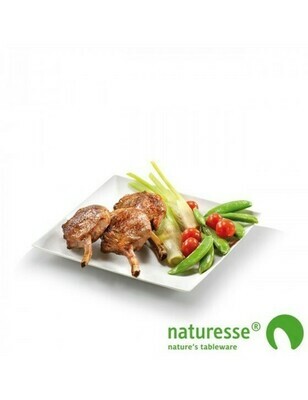 Bagasse bord Bagasse bord