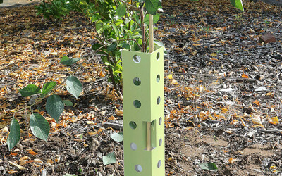 Plasticvrije jonge aanplant/boombeschermers. Plasticvrije jonge aanplant/boombeschermers.