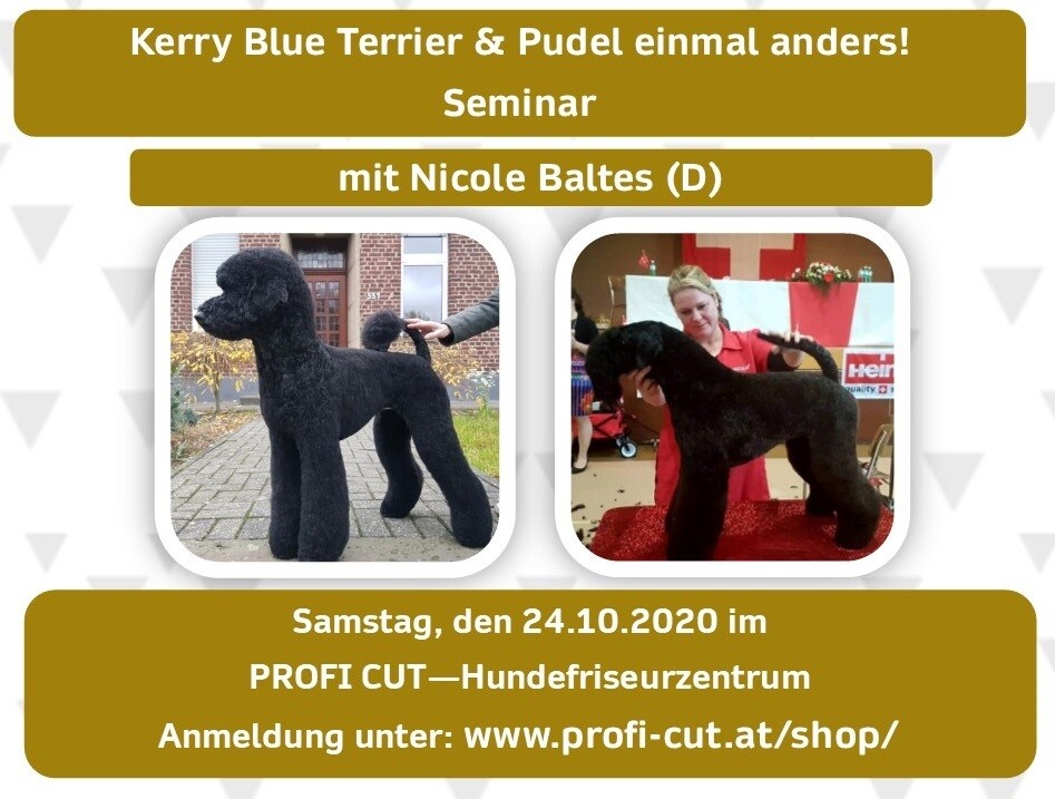 Seminar 24.10.2020 &quot;Kerry Blue Terrier &amp; Pudel einmal anders!&quot;
mit Nicole Baltes (DE)