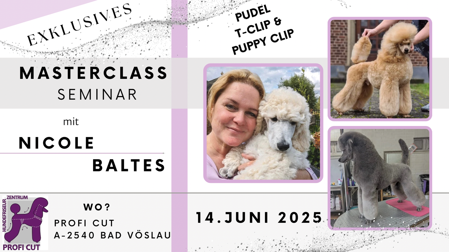 MASTERCLASS SEMINAR mit NICOLE BALTES 14.6.2025