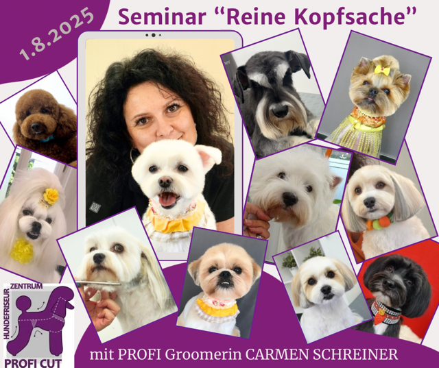 REINE KOPFSACHE - Köpfe-Seminar mit CARMEN SCHREINER 1.8.2025