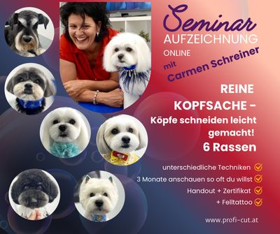 REINE KOPFSACHE - Aufzeichnung des Seminars mit CARMEN SCHREINER