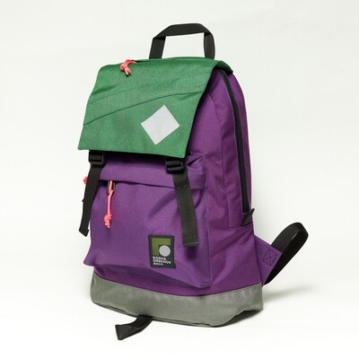 Рюкзак Citypack Color Block фиолетовый