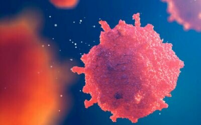 Umbilical Cord Mesenchymal Stem Cells 5 Million