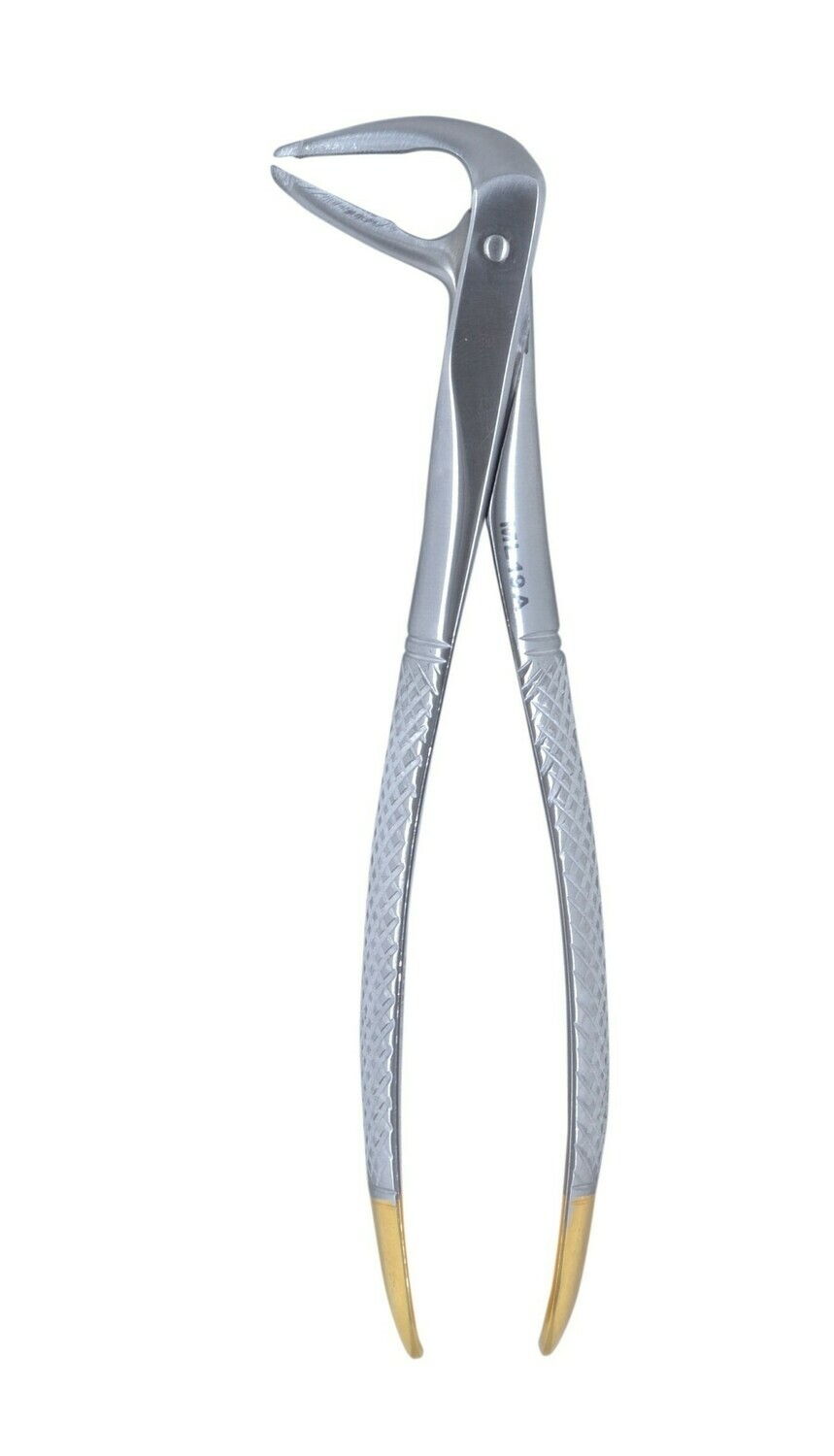 Lower Anterior Ash Easy Grip Forceps
