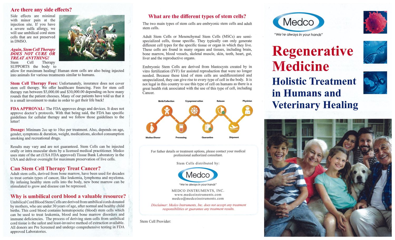 Stem Cells PDF