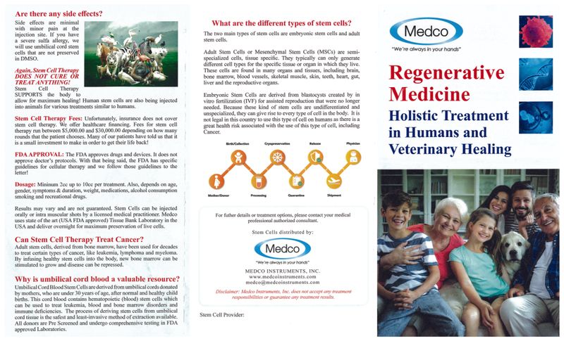 Stem Cells PDF