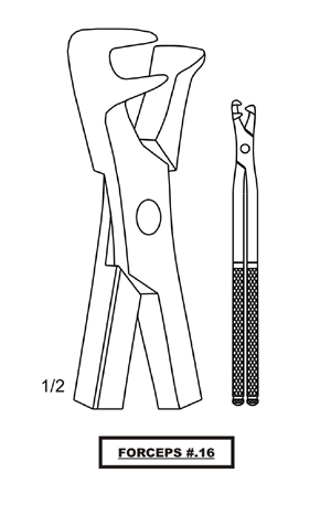 Upper Right Three Roots Extractors 1X2 Prongs